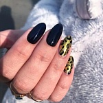 Осташова Ксения Александровна
