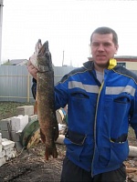 алексей игоревич корнеев